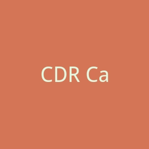 CDR Canal 2官网