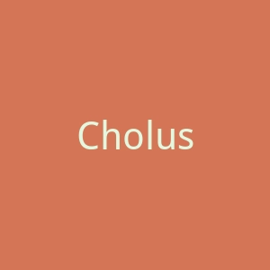 Cholusat Sur官网