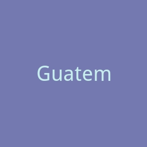 Guatemala Times官网