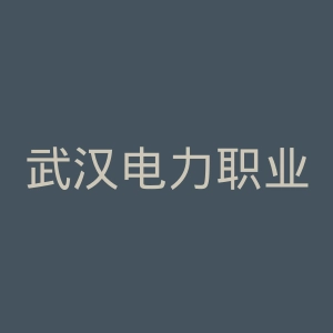 武汉电力职业技术学院