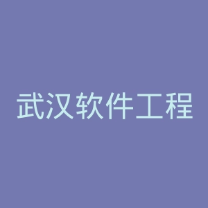武汉软件工程职业学院