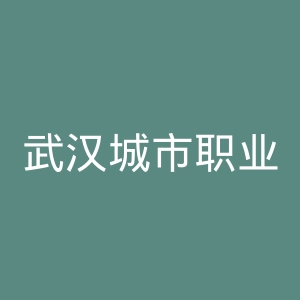 武汉城市职业学院