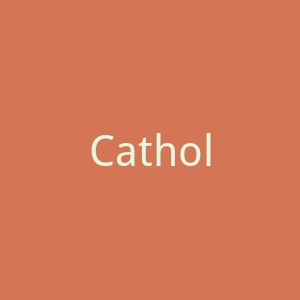 Catholic TV官网