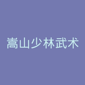 嵩山少林武术职业学院