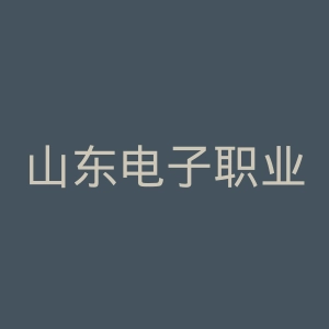 山东电子职业技术学院