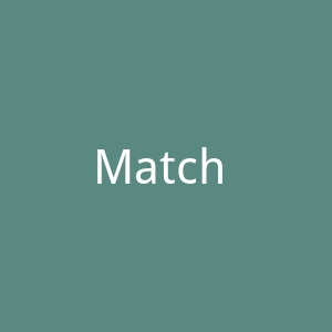 Match Adream官网