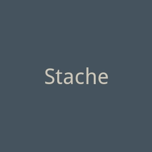 Stache Passions官网