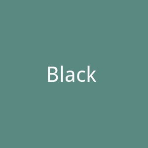 Black America Web官网