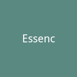 Essence Online官网
