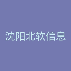 沈阳北软信息职业技术学院