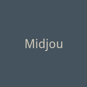 Midjourney