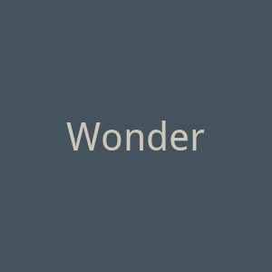 Wonderwall官网