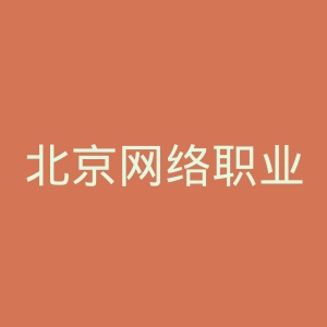 北京网络职业学院