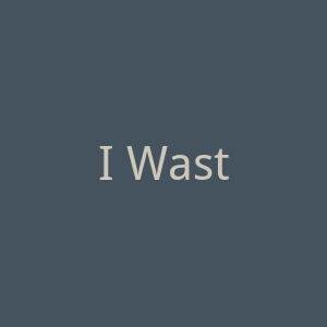 I Waste So Much Time官网