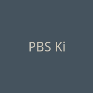 PBS Kids官网