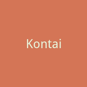 Kontain官网