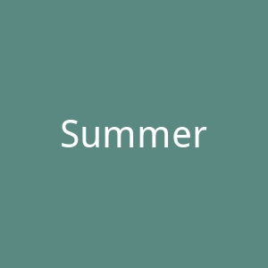 Summertomato官网