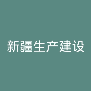 新疆生产建设兵团政务服务网