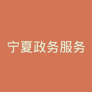 宁夏政务服务网