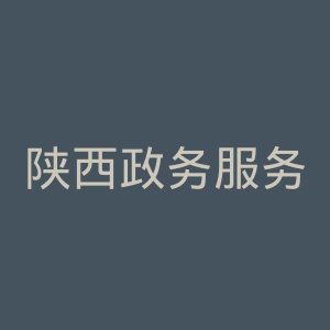 陕西政务服务网