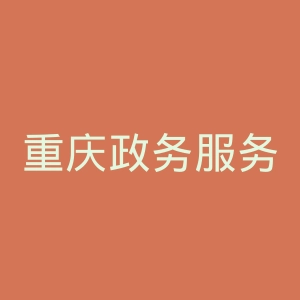 重庆政务服务网