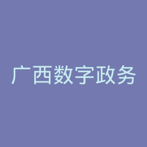 广西数字政务一体化平台
