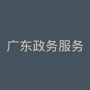 广东政务服务网