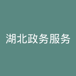 湖北政务服务网