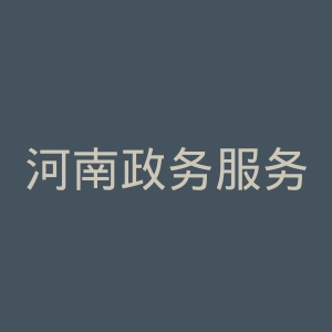 河南政务服务网