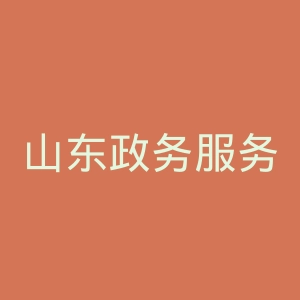 山东政务服务网
