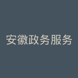 安徽政务服务网