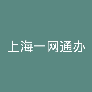 上海一网通办
