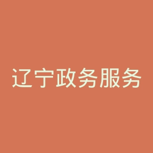 辽宁政务服务网