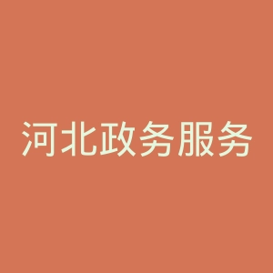 河北政务服务网
