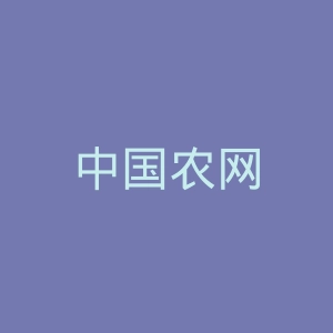 中国农网