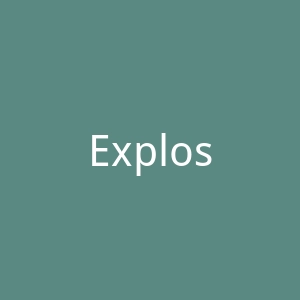 Explosm官网