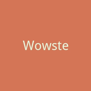 Wowstead官网