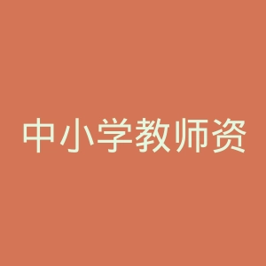 中小学教师资格考试