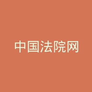 中国法院网