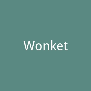 Wonkette官网
