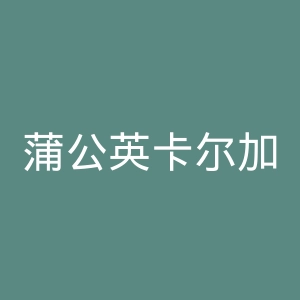 蒲公英卡尔加里中文网官网