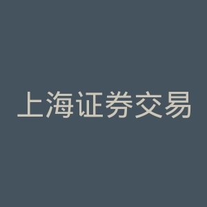 上海证券交易所