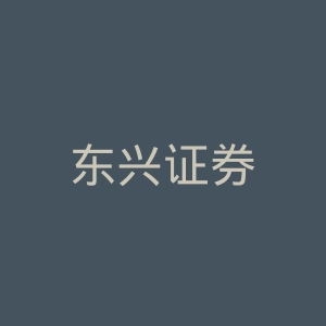 东兴证券