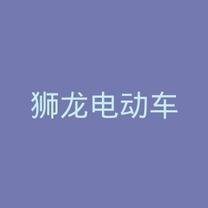 狮龙电动车