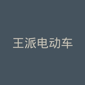 王派电动车