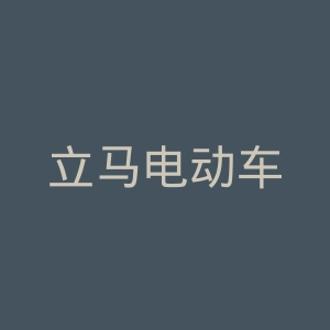 立马电动车