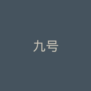 九号
