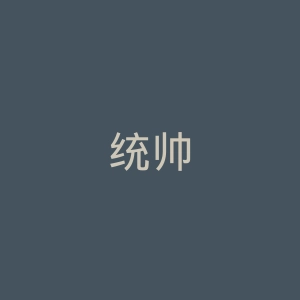统帅