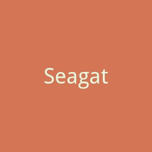 Seagate
