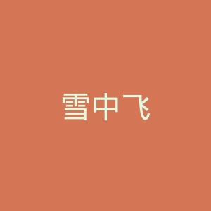 雪中飞
